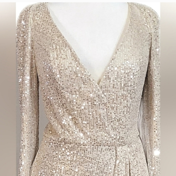 Illena for Mac Duggal silver sequin gown - Picture 6 of 11